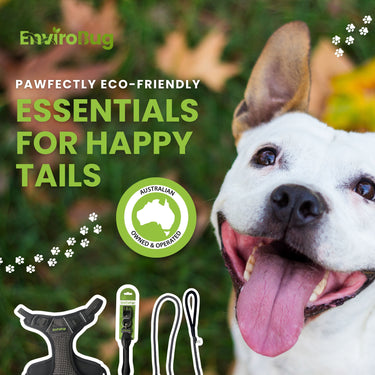 Dog Collars, Harnesses & Leads image